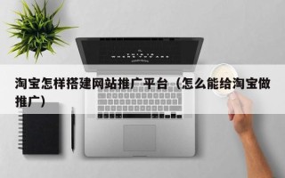 海东淘宝怎样搭建网站推广平台（怎么能给淘宝做推广）